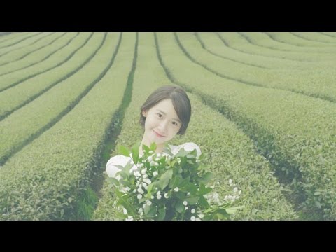 Innisfree Green Tea Seed Serum 80ml BD