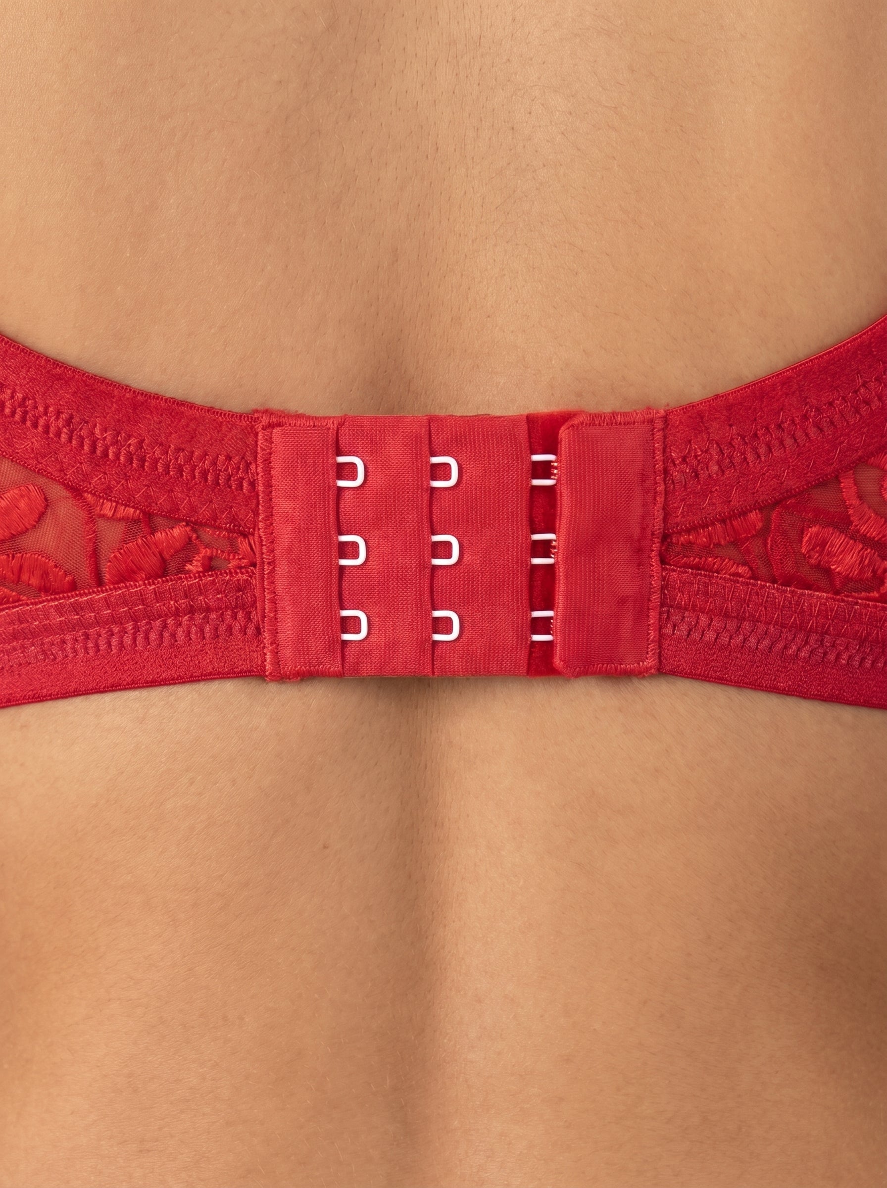 Red lace bra on a beige background #color_red