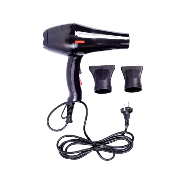 V&G Professional Hair Dryer #3200