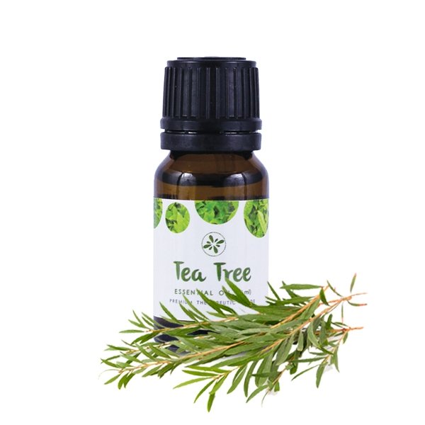 Skin Cafe 100% Natural Essential Oil – Tea Tree 10ml